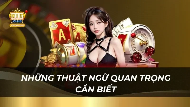 Bài Phỏm Hitclub Chi Tiết Cho Người Mới Bắt Đầu Những thuật ngữ quan trọng cần biết trong bài phỏm